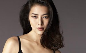 Liu Wen