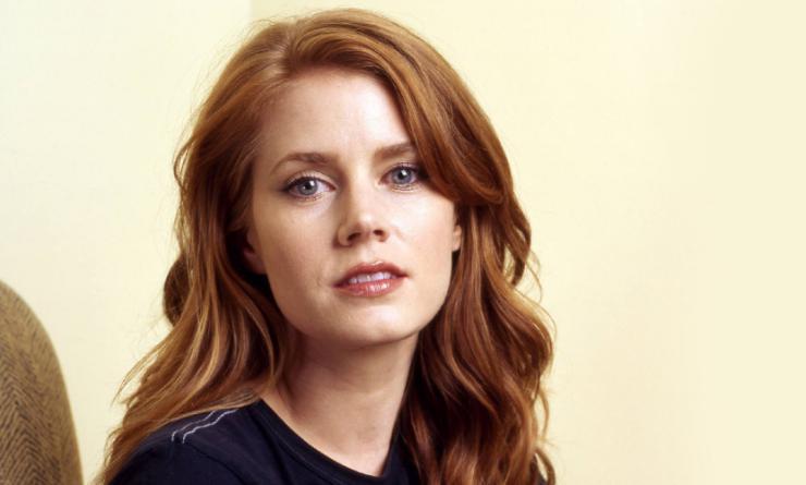 What Bra Size Is Amy Adams?