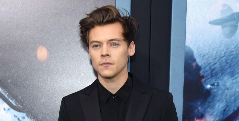 Harry Styles Height Weight Measurements Shoe Size