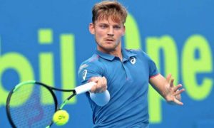 David Goffin